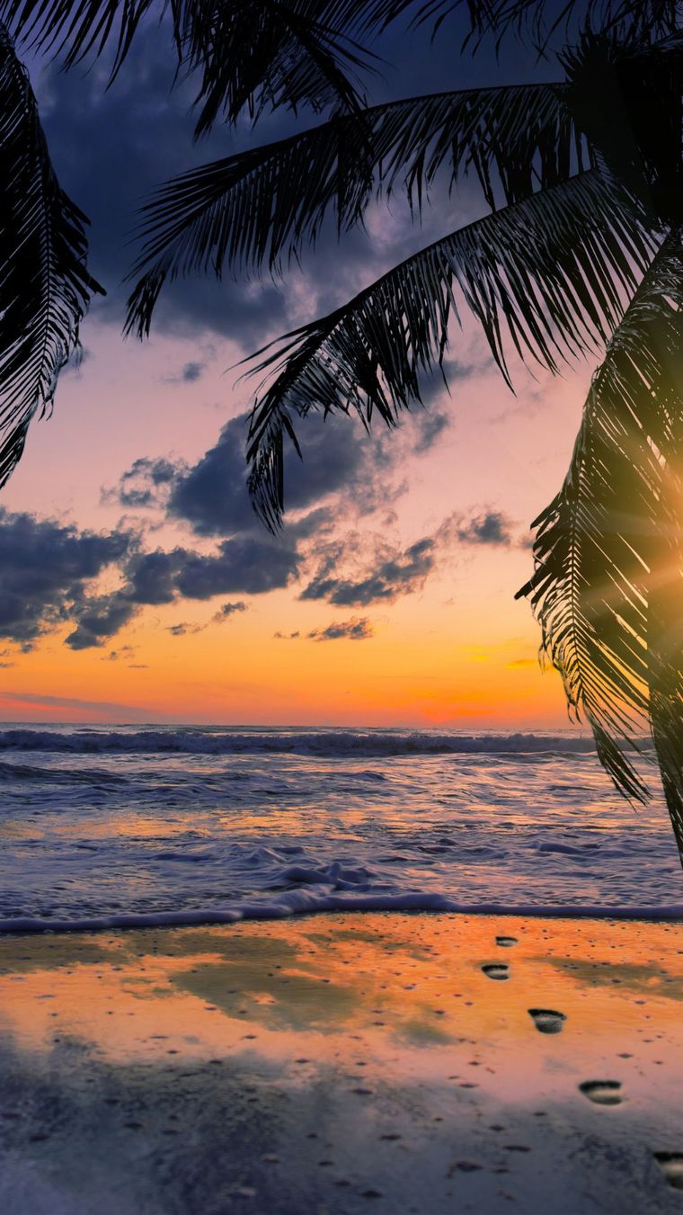 Sunset over the sea framed by palm fronds